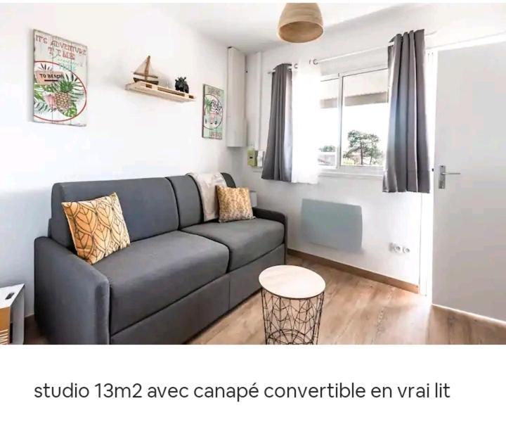 Studio Biscarrosse Plage Buitenkant foto